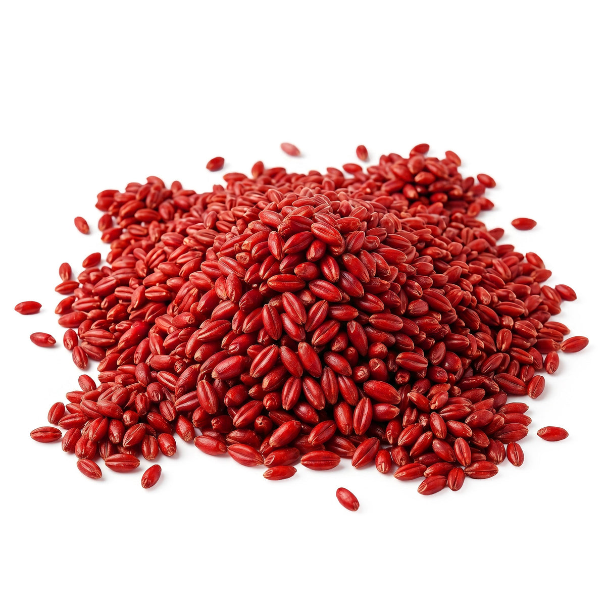 No Pest Brodifacoum Getreideköder gegen Ratten und Mäuse – 5 kg