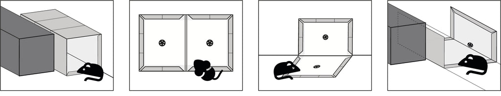 No Pest Klebefalle für Ratten und Mäuse – 40 × 25 cm