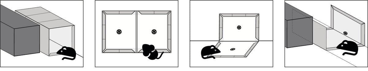 No Pest Klebefalle für Ratten und Mäuse – 40 × 25 cm